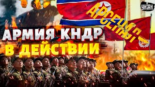 Смотрите, как ВСУ накостыляли корейцам! Армия КНДР в боевых условиях. Отлов начался: обзор | Арсенал