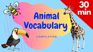 Super Animal Vocabulary Compilation: Zoo Animals, Birds, Bugs, Water Animals, Animal ABC, and more.