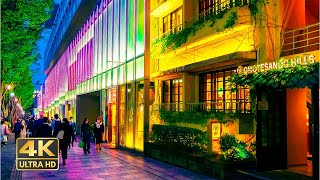 【4K HDR】表参道を夜散歩 Night Walk in Tokyo  -Omotesando- 【東京】