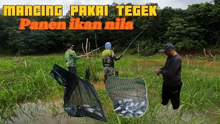 PANEN IKAN NILA PAKAI TEGEK DI RIAM KANAN