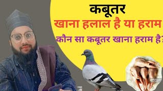 कबूतर खाना हलाल है या हराम? kon sa kabotr khana haram h #masail #muftimodassiramjadi