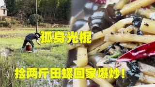 孤身光棍一个人生活，闲来无事到田里，捡两斤田螺回家爆炒！【广西阿大】#美食 #农村