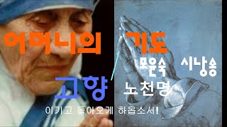 [돈테소리]어머니의 기도-모윤숙/고향-노천명  시낭송