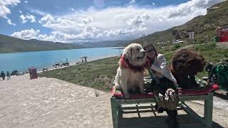 Yamdrok Lake Tour - The most beautiful lake in Tibet