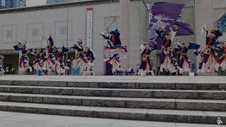 躍動 ハマこい2018