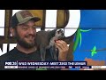 meet zeke a lemur from wild florida airboats u0026 gator park