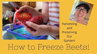 Garden Harvest | How to Freeze Beets