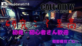 BO3 ネタ注意！初見歓迎、概要欄見てね