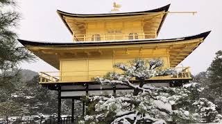 京都 金閣寺が雪化粧 Walk in Snow Kyoto,Japan 2023年1月25日