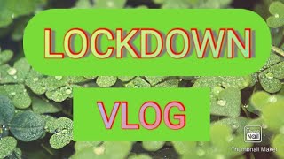 LOCKDOWN VLOG,,,, എന്റെ ചെടികൾ,,, stay home stay safe