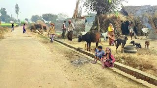 Some Of The Most Unique Villages Of India [] Life Of Poor People In Uttar Pradesh