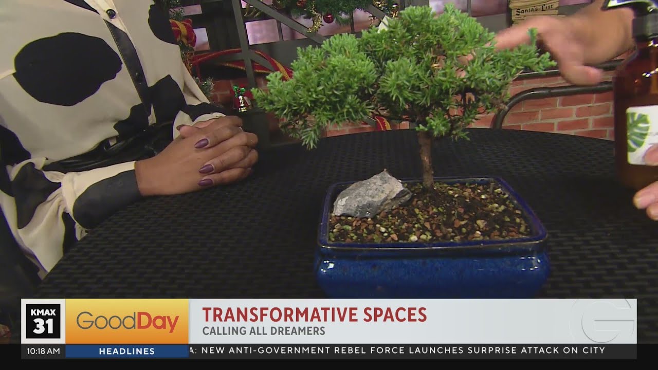 Transformative Spaces 10am Youtube