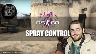 LG * FalleN talking about spray control CS:GO (twitch stream)