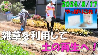 雑草を利用して土の再生へ！