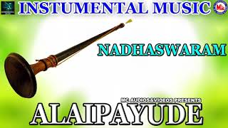 Alaipayude | Instrumental Music | Nadswaram Solo | Classical Songs Instrumental
