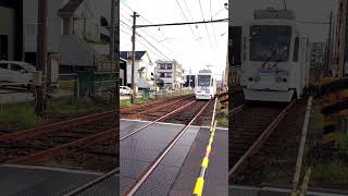 【鹿児島市電9702号】笹貫4号踏切を通過します。#shorts #鹿児島市電  #tram