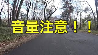 埼玉県 森林公園 【国営武蔵丘陵森林公園】2019年3月