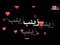 فيديو بأسم زينب