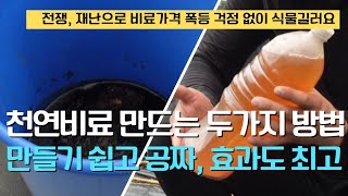 146.잡초액비 만드는방법-세계에서 가장 만들기 쉽고 효과 강력한 텃밭 천연비료 2가지 입니다