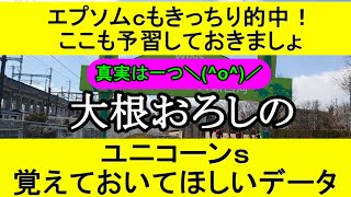 【競馬予想】ユニコーンステークス2023をデータから徹底予想【大根おろし】