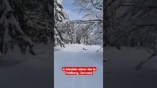 A fairytale #winter day in #Feldberg, #germany