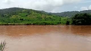 Nyabarongo River in Rwanda🇷🇼🏞️🌊❤️