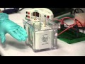 Electrophoresis: Assembling & Running An SDS Page Gel