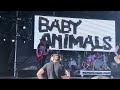 Baby Animals - “Early Warning” Live