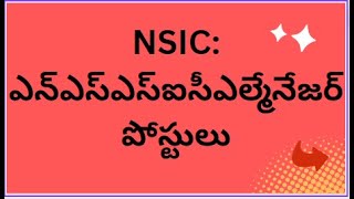 NSIC ఎన్ఎస్ఎస్ఐసీఎల్ 30 మేనేజర్ పోస్టులు