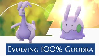 [100IVSeries] Evolving 100% Goodra from Goomy \u0026 Sliggoo