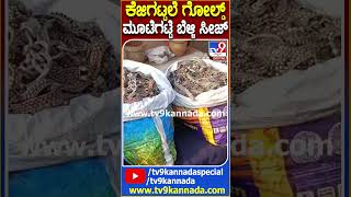 Money Seize: ಕೋಟಿ ಕೋಟಿ ದುಡ್ಡು, ಕೆಜಿಗಟ್ಟಲೆ ಚಿನ್ನ, ಬೆಳ್ಳಿ ಗಟ್ಟಿ ಪೊಲೀಸ್​ ವಶಕ್ಕೆ | #TV9D