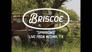 Briscoe – Sparrows (Official Video)