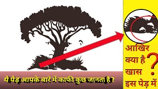 Optical illusion tree | ये पेड़ आपकी personality के बारे मे जानता है ? #fact #illusion #factsinhindi