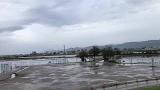 ウェザーリポート動画1014@長岡市信濃川河川敷左岸(台風19号爪痕)