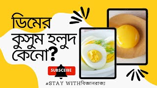 ডিমের কুসুম হলুদ কেনো?