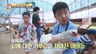 닭, 무섭지 않닭! 관상욕 닭과 함께하는 체험 농장! | 서민갑부 242회