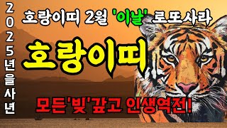 [ 2025년 2월 호랑이띠 운세 ] 98년생 86년생 74년생 62년생 50년생 ㅣ나이별로 들어오는 운ㅣ로또 번호 추천