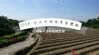 2018 台北內湖採草莓 清香農場 小蘋果初體驗