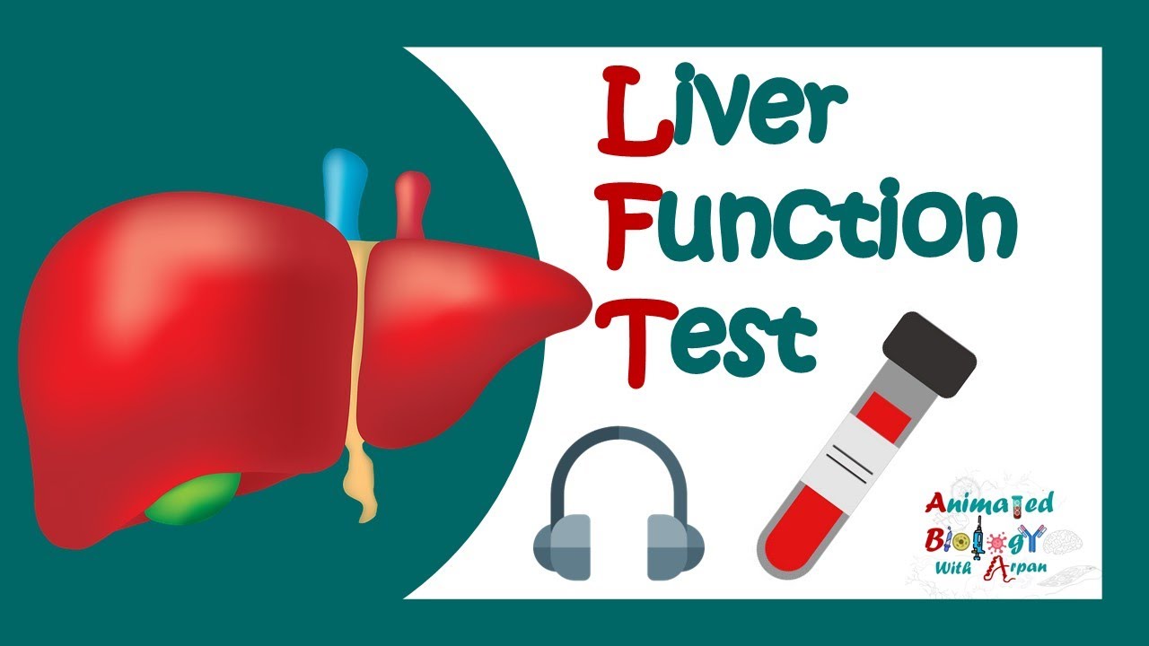 Liver Function Tests Purpose Procedure And Results 59 Off Liver Function Tests Purpose Procedure And Results 59 Off