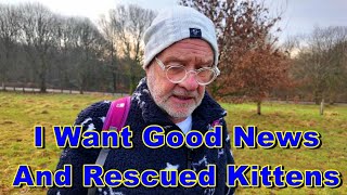 I Want Good News, And Rescued Kittens