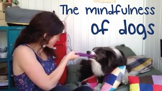 The mindfulness of dogs | Clare's Mental health Story for #MHAW15 | Mind