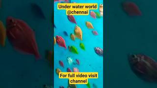 Theevuthidal Under Water World Fish Aquarium/தீவுத்திடல் கண்காட்சி/#tamil/#shorts