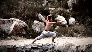 Shaolin Xinyiba -Rare Shaolin form: Liuhequan (Six harmonies boxing)