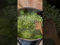 Ідеальний гарнір до риби Або до м’яса Або просто так shortvideo food spinach kitchen short