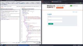 Cache key injection (Video solution)