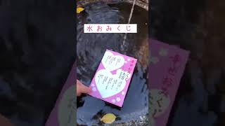 水に濡らすと浮き出る占い【水おみくじ】