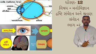 વિષય:મનોવિજ્ઞાન ધોરણ 12. || દ્રષ્ટિ સંવેદન અને શ્રવણ સંવેદન||#parmarsubhash5745 #std12#manovigyan