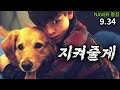 버림받은 강아지와 상처받은 소년의 '개'감동 성장 드라마 (영화리뷰/결말포함)