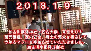 加古川戎神社（粟津神社）初戎大祭　マグロ奉納　商売繁盛、家内安全、郷土繁栄祈願　加古川水産株式会社