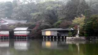 長岡天満宮 その1 正面大鳥居より 京都の紅葉名所　Nagaoka-Tenman-gu Shrine  autumn leaves attractions in Kyoto part.1